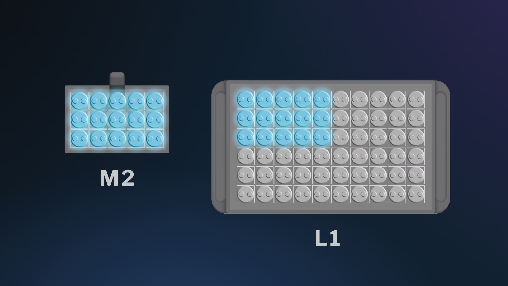 M2 vs L1