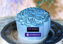 WEKA boosts GenAI speed with Mooncake vLLM tech